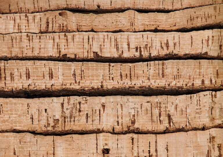 CorkWood by TORLYS
